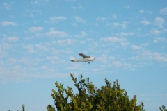 53a12de3c5728f5073c0c9030207a360